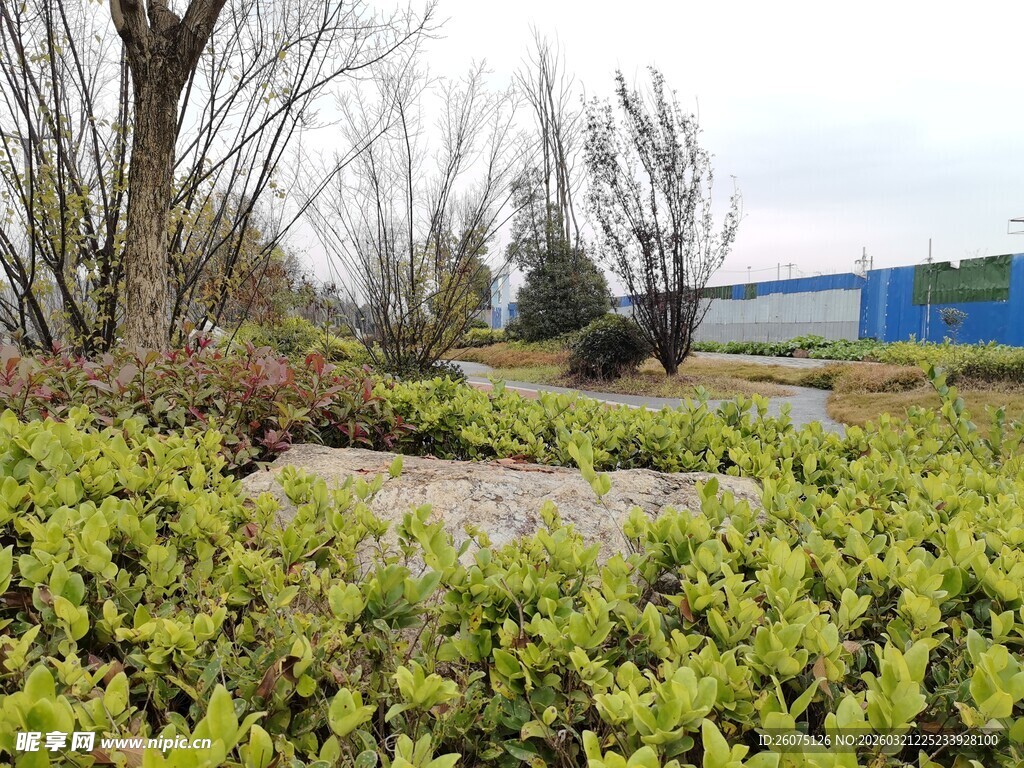 户外绿植景观场景