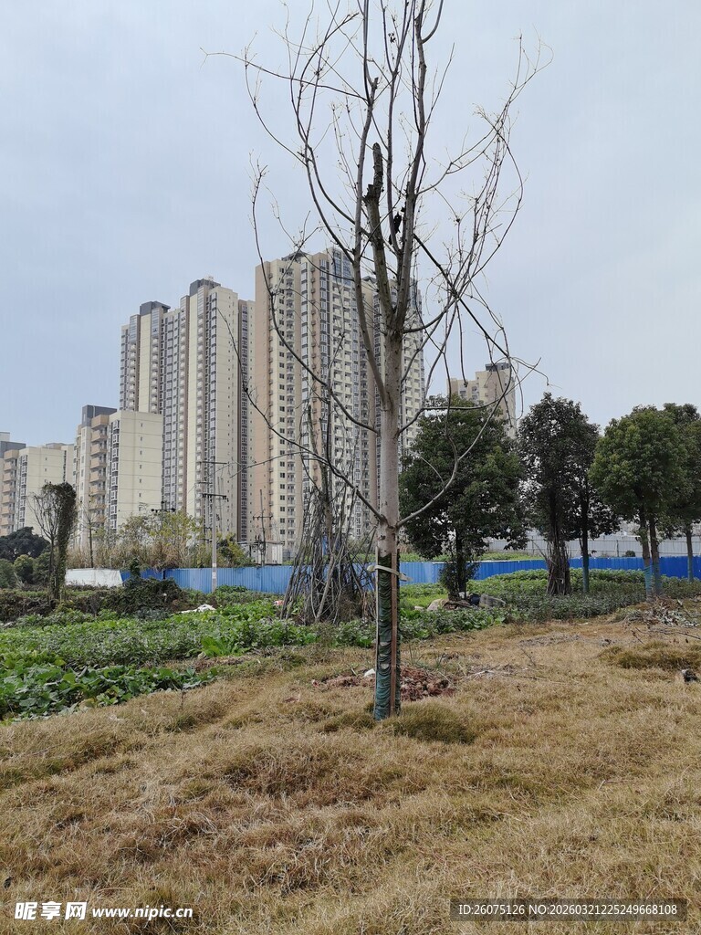 城郊荒地与远处高楼景观