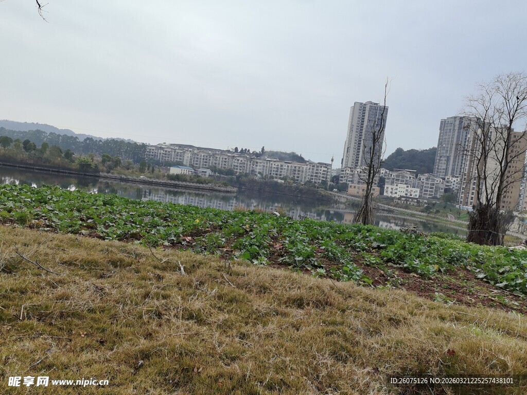 城郊田野与远处城市景观