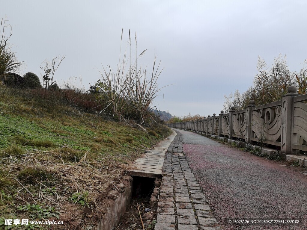 乡间碎石路路旁绿意相伴