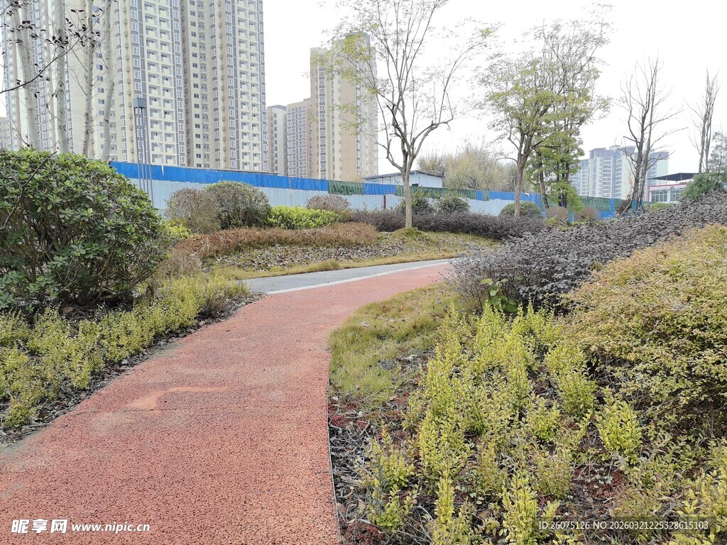 城市中的绿植小径