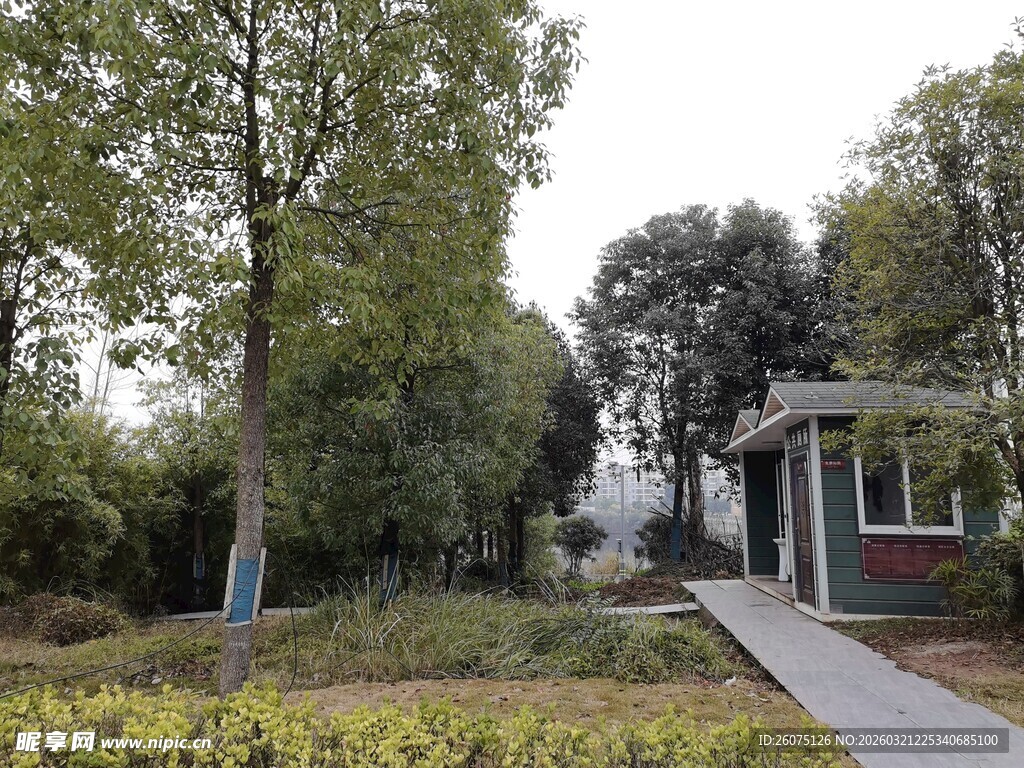 乡村小屋旁的林荫小道