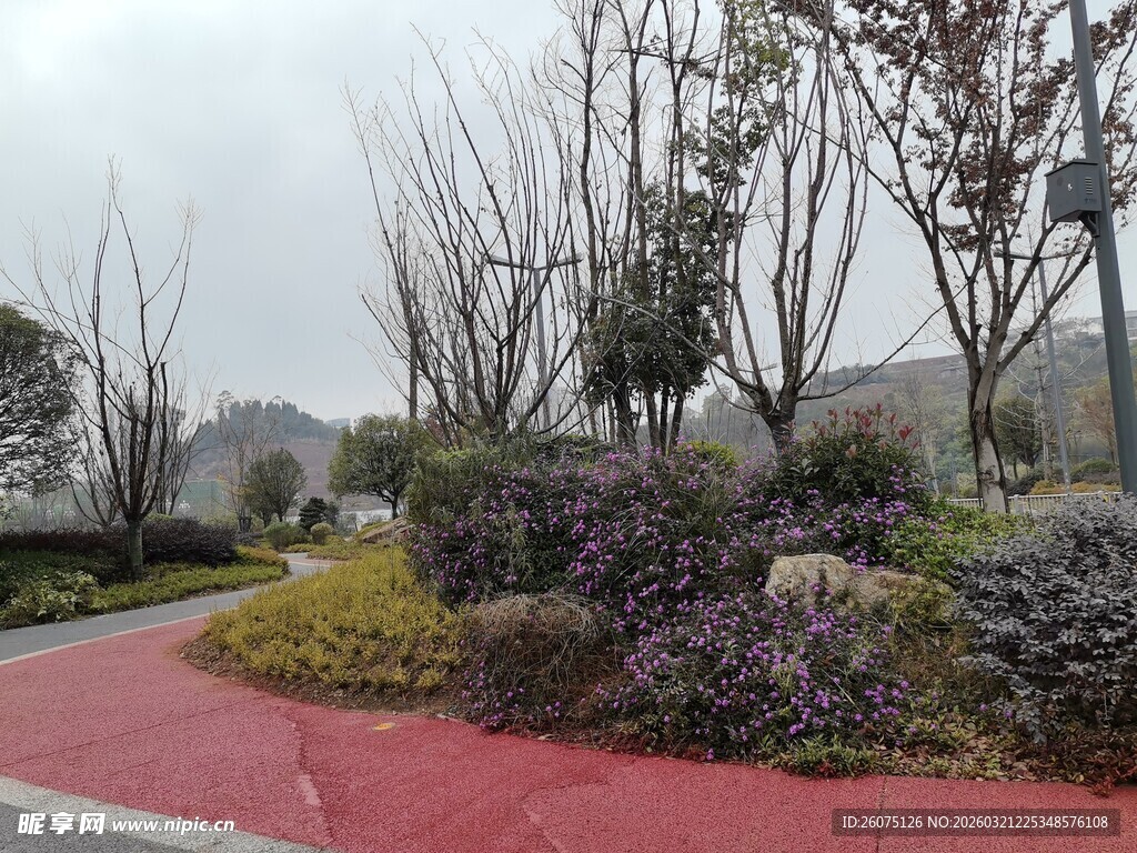 公园彩色步道旁绿植景观