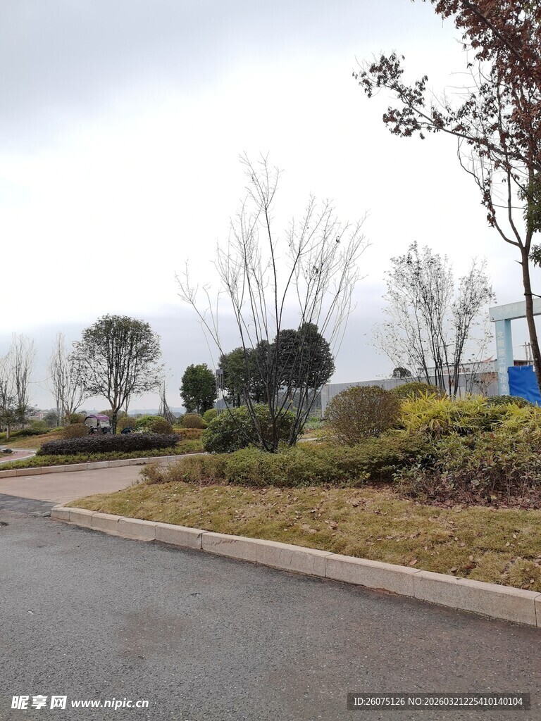 城郊道路旁的绿植景观