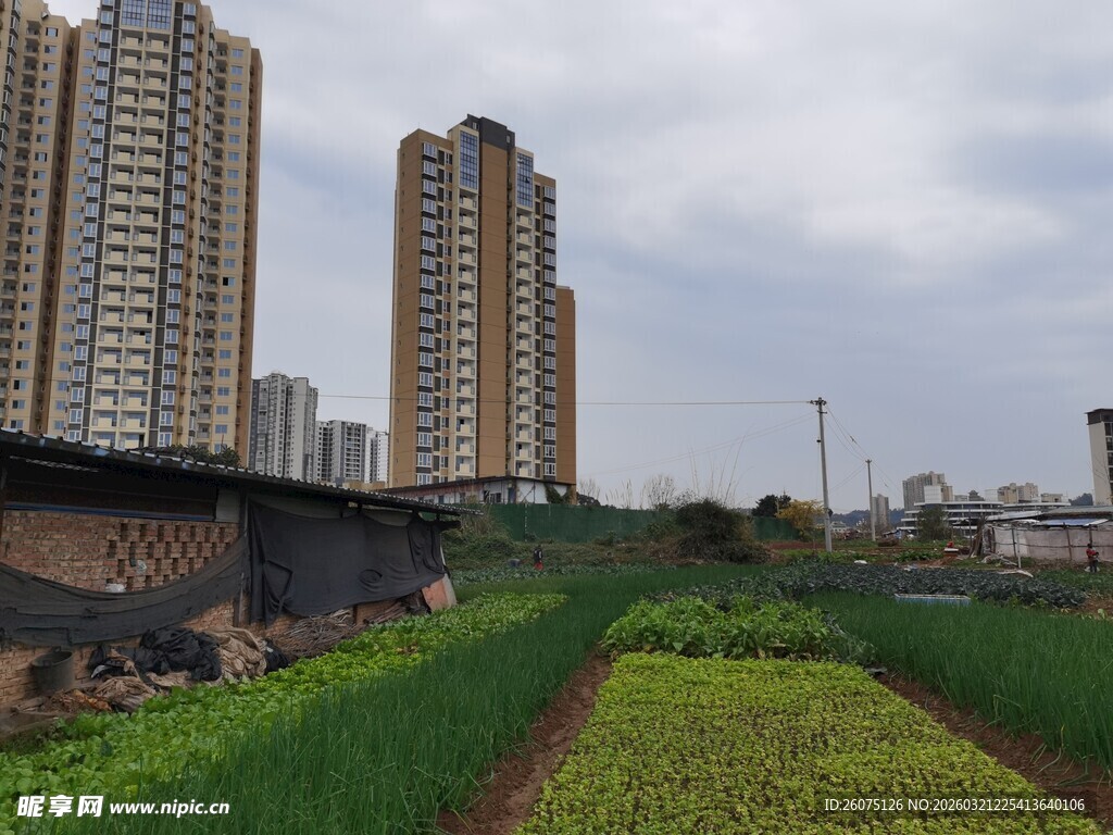 城市旁的田园风光