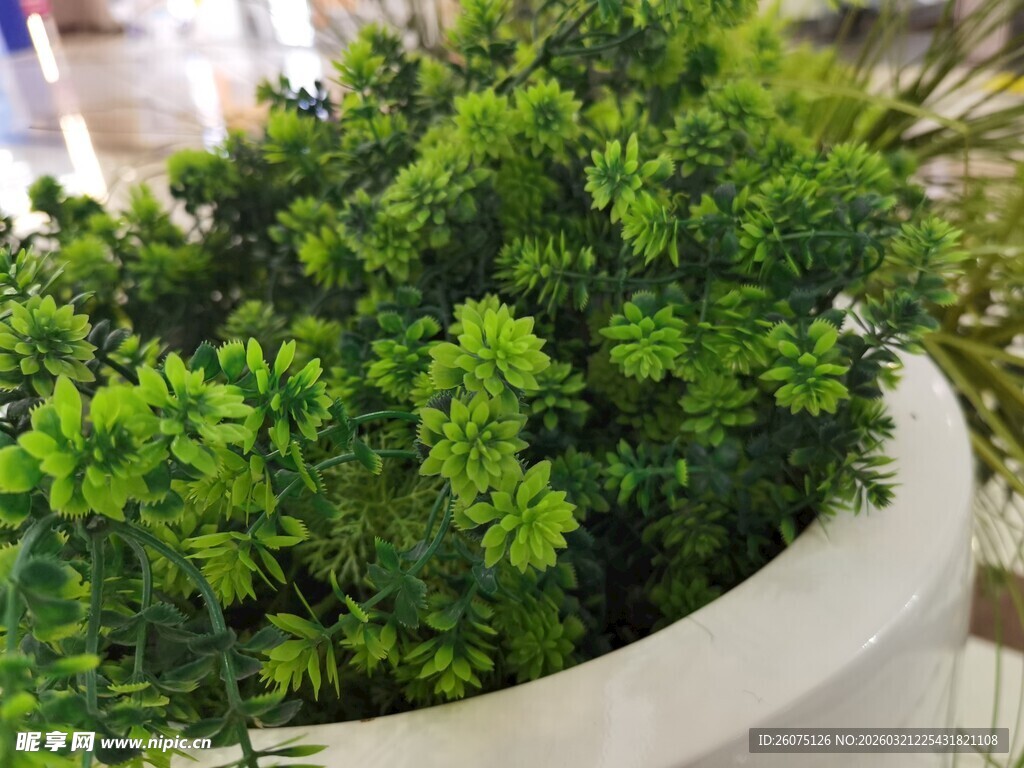 白色花盆中的仿真翠绿植物