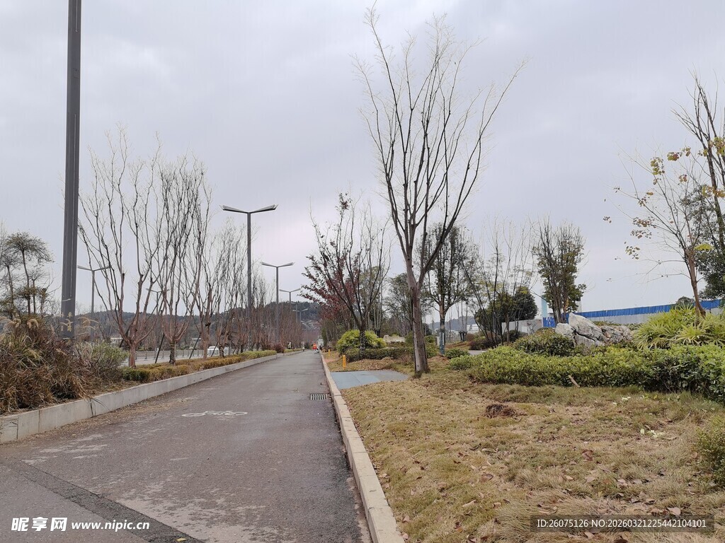 城郊空旷道路旁绿化景观