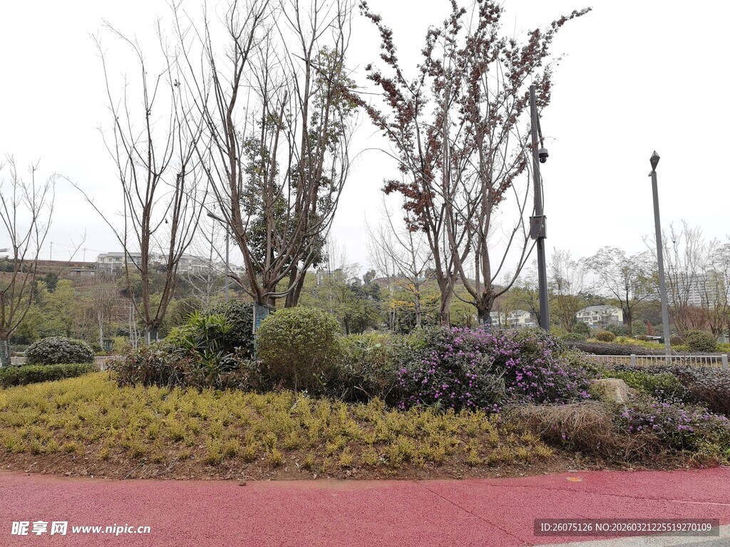 城市公园绿植景观一角
