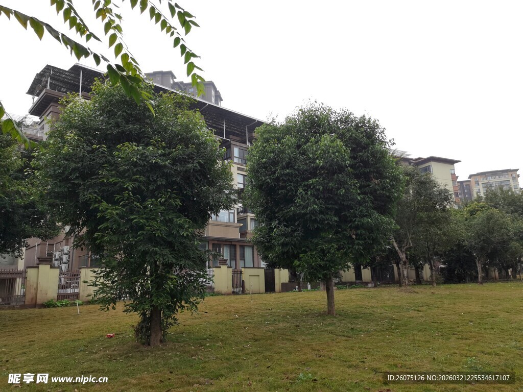 小区内的绿化景观