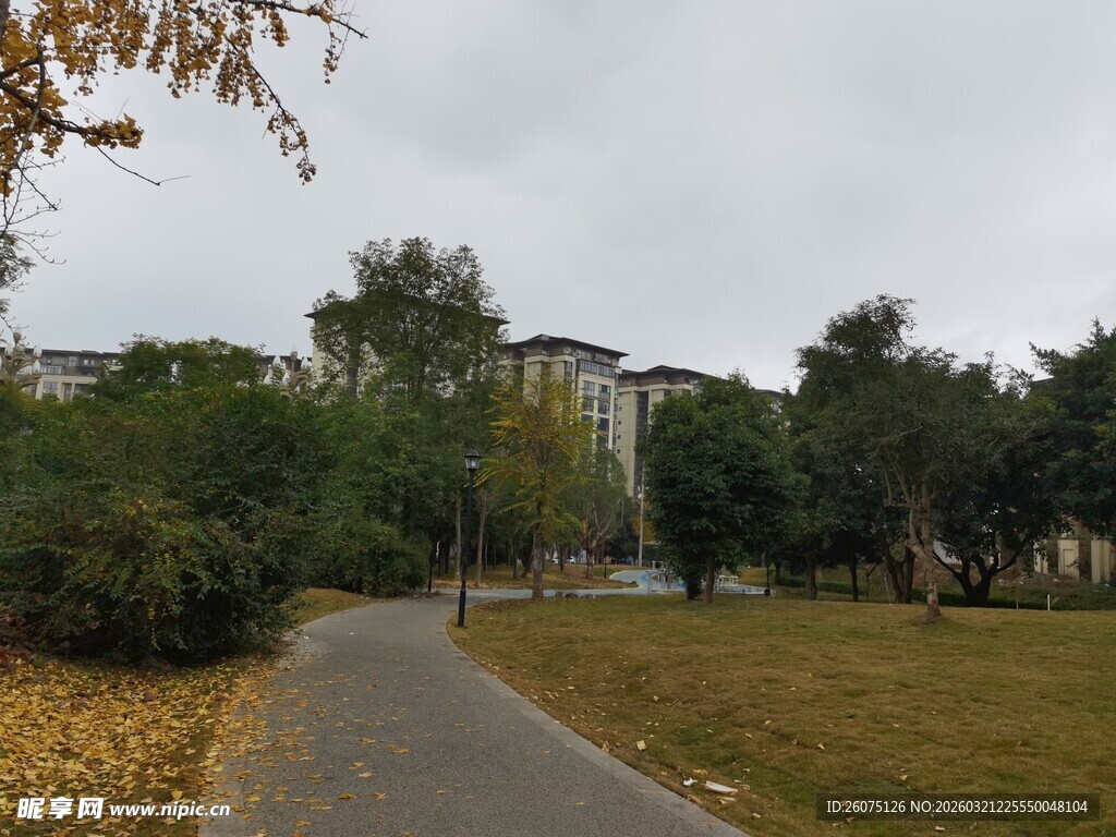 秋日公园中的幽静小路