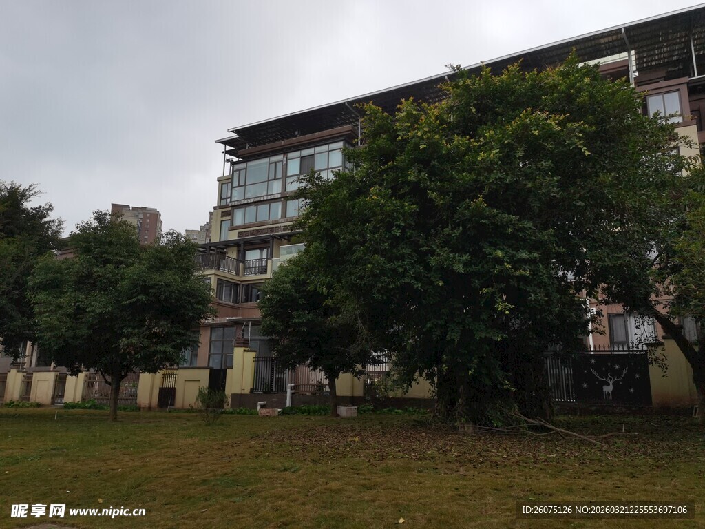 住宅楼旁的绿树草地