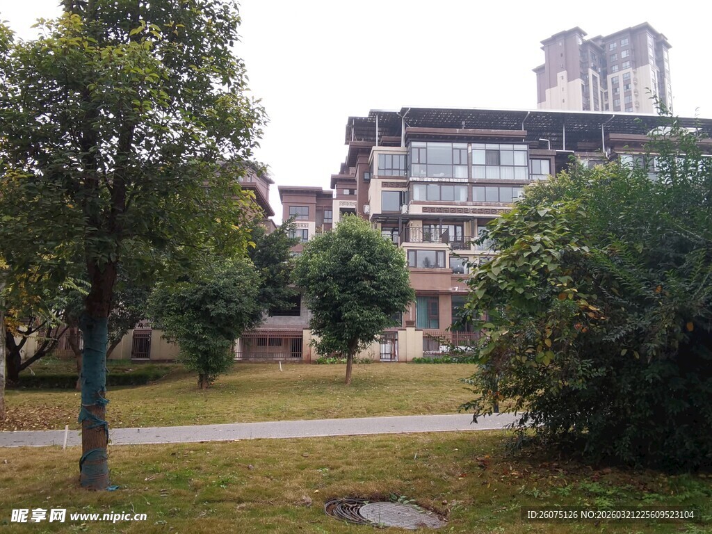 小区内的绿化景观