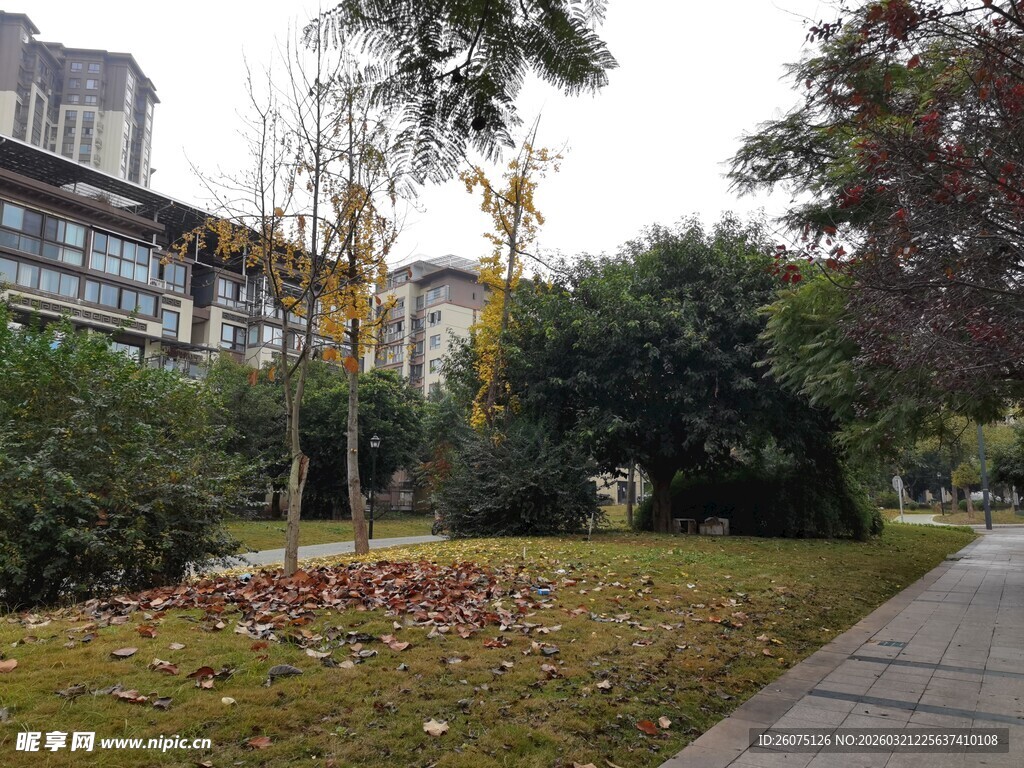 城市中静谧的绿化小径