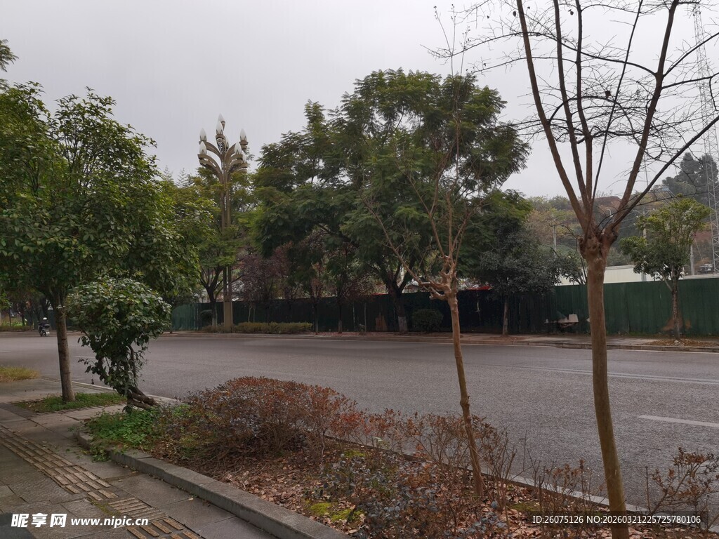 雨后公园的萧瑟景象