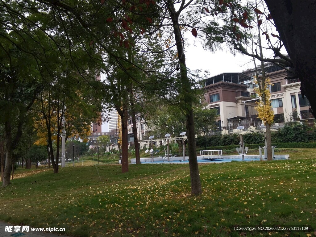 秋日公园景色