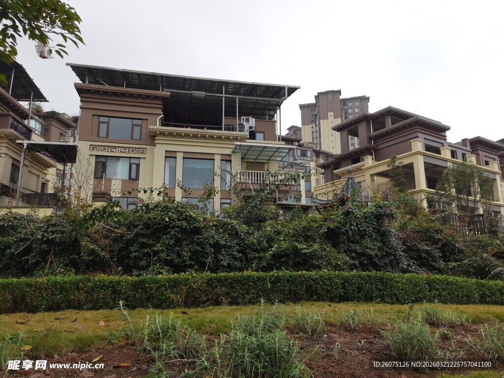 豪华别墅周边绿植景观