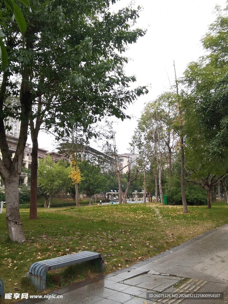 雨后静谧公园一角