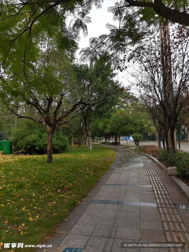 公园幽静步道绿树环绕