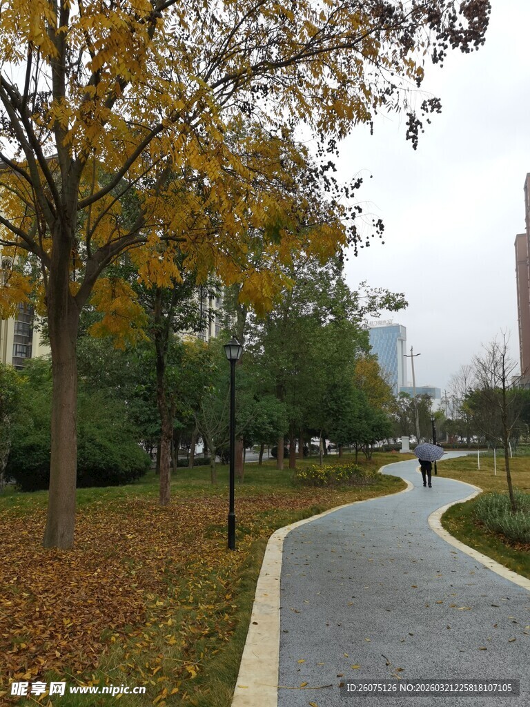 秋日林荫小道漫步场景