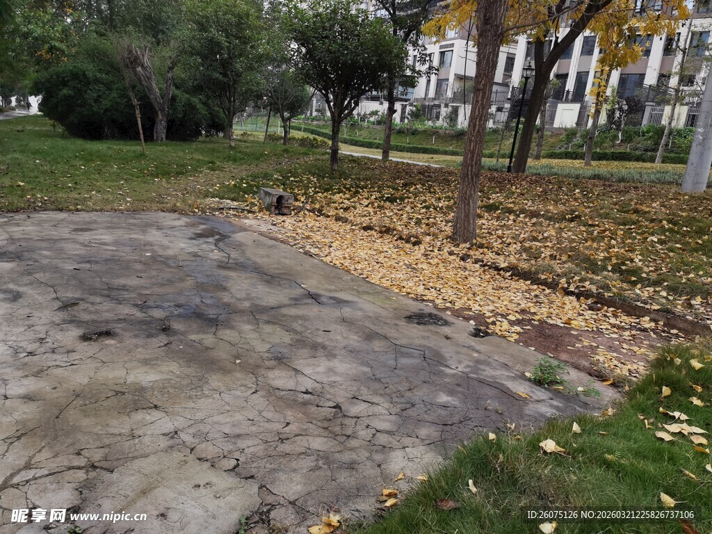 秋日公园中的空旷水泥地块