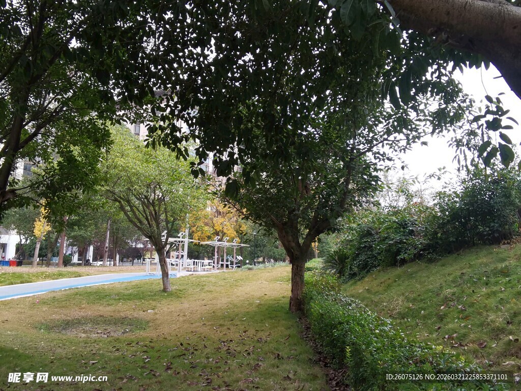 城市中的静谧林间小道