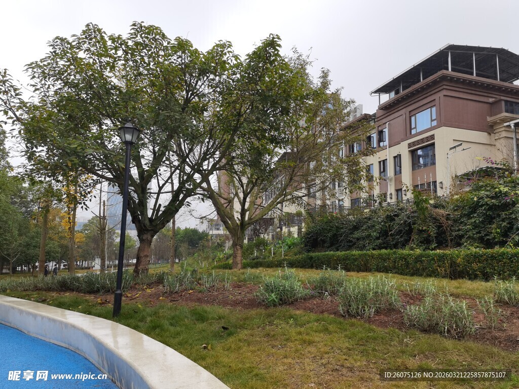 优雅住宅周边绿意景观