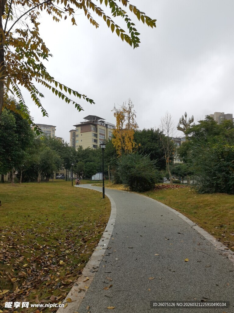 秋日公园小径风景