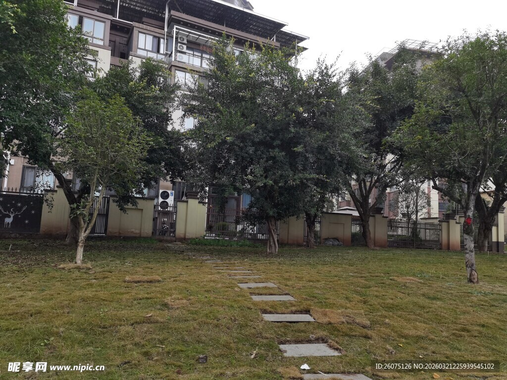 庭院石板小径绿植环绕