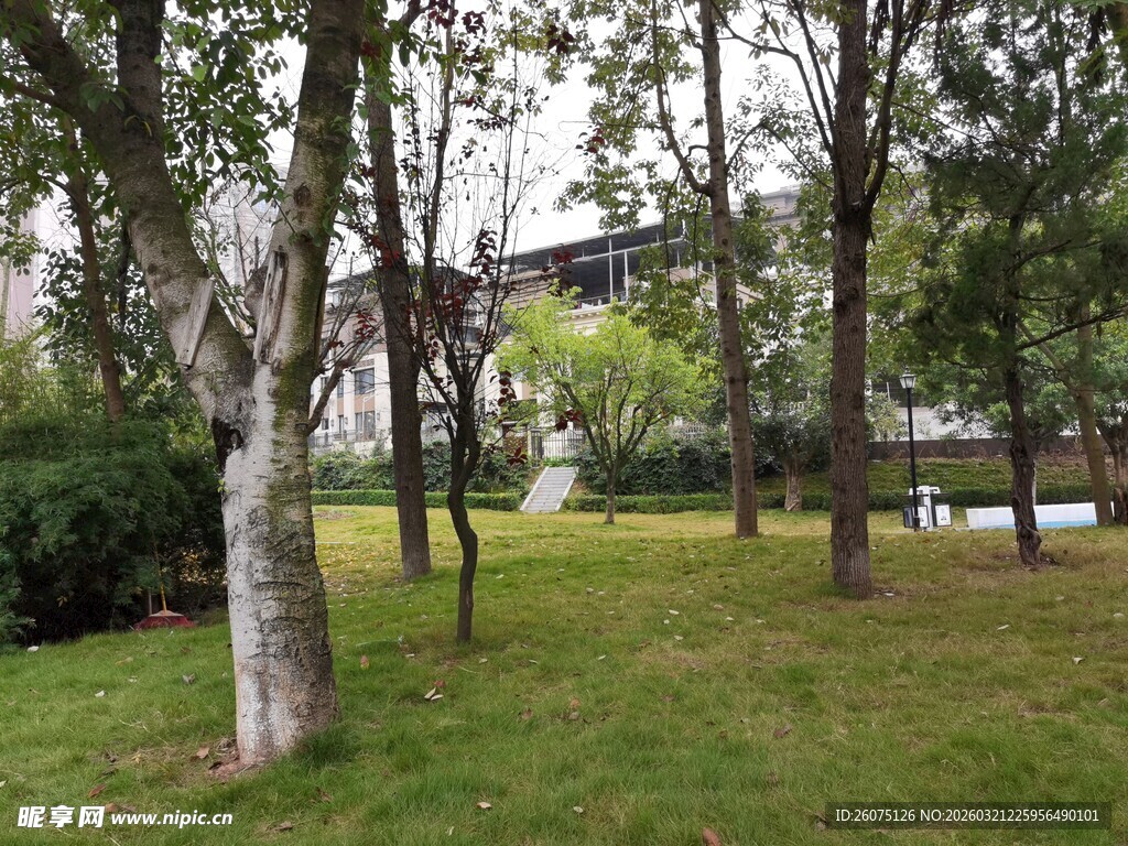 林间草地与现代建筑景观