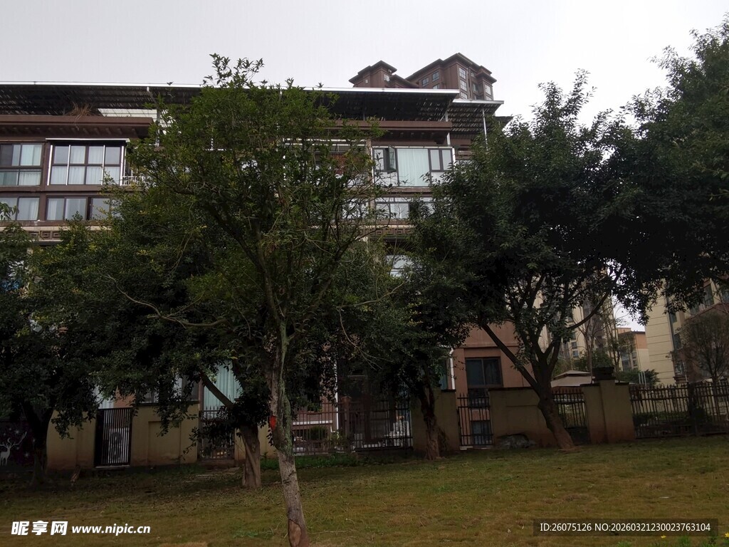 绿树环绕的多层建筑