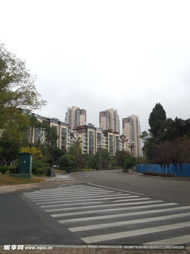 城市道路旁的高层住宅区