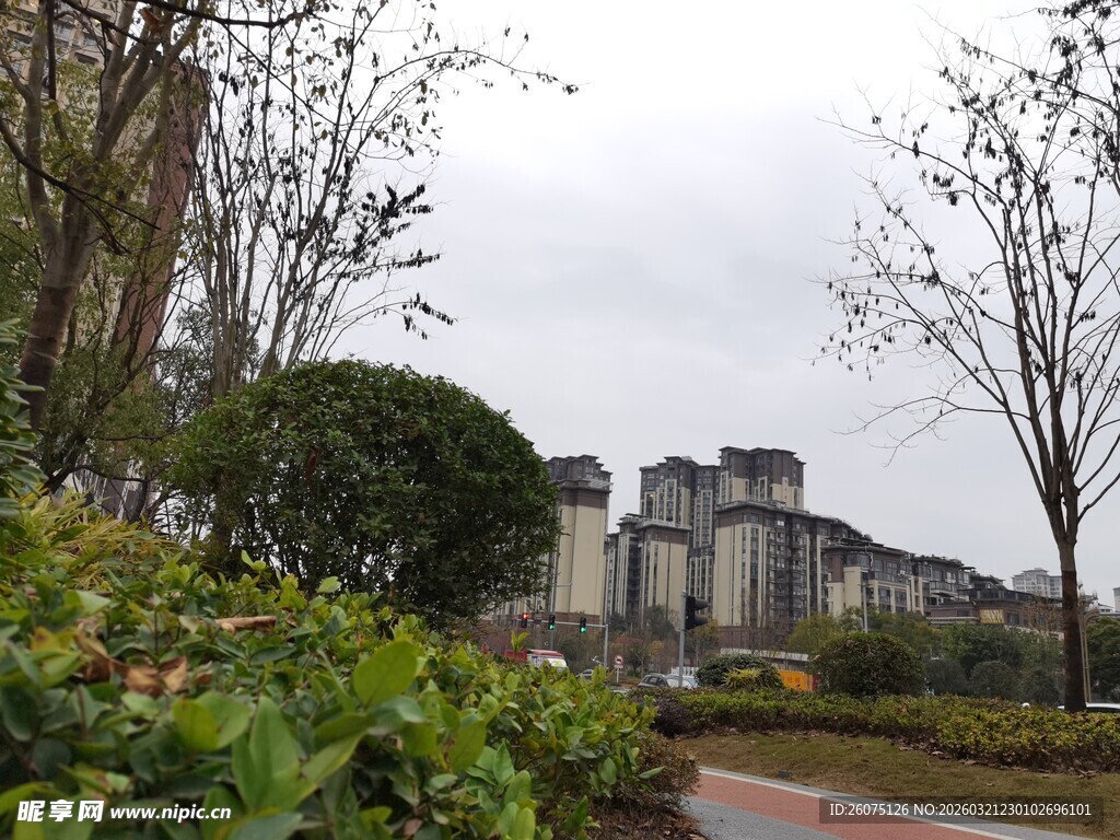 小区周边绿化景观