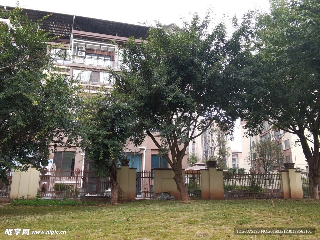 庭院绿树环绕的多层建筑