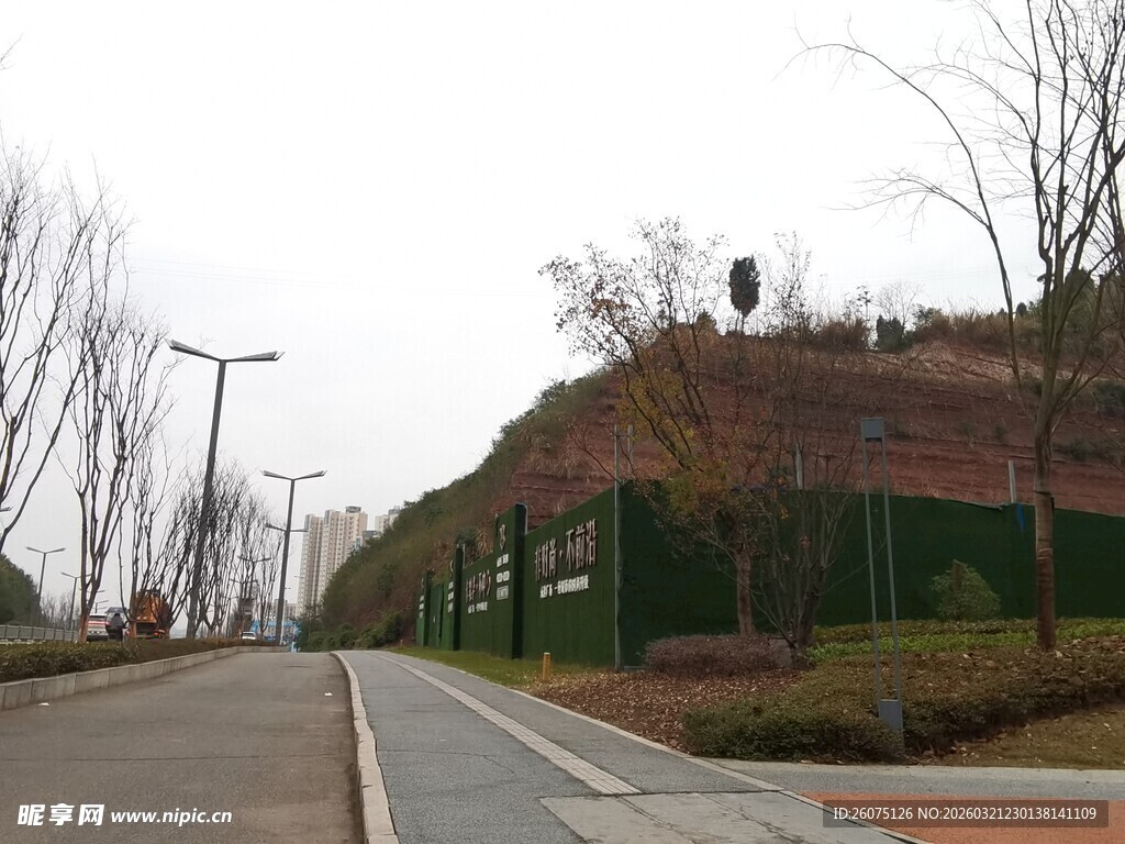 城市道路旁的绿色围挡景观