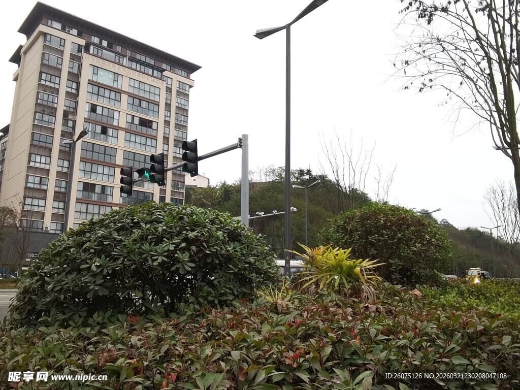 城市绿植旁的高楼与路灯