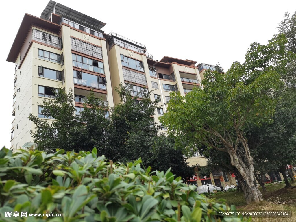 现代高层住宅与绿植景观