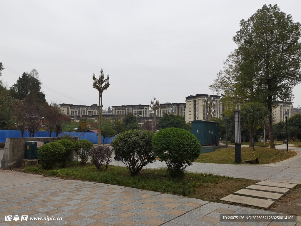 城市街角的静谧绿化景观