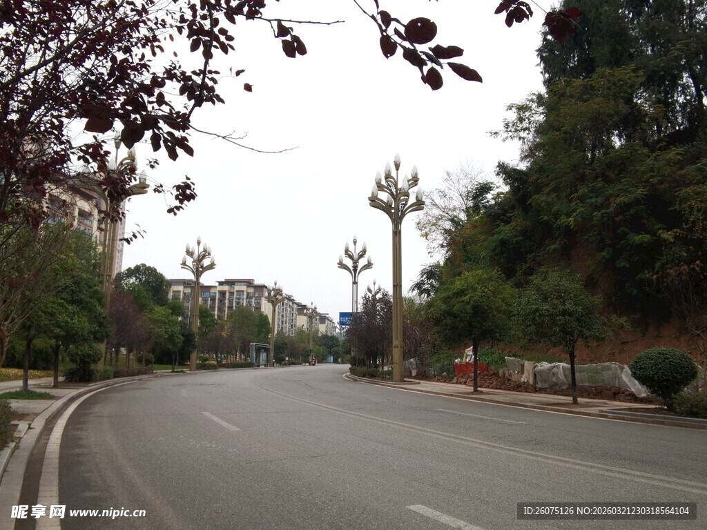 城市中的宁静弯曲道路