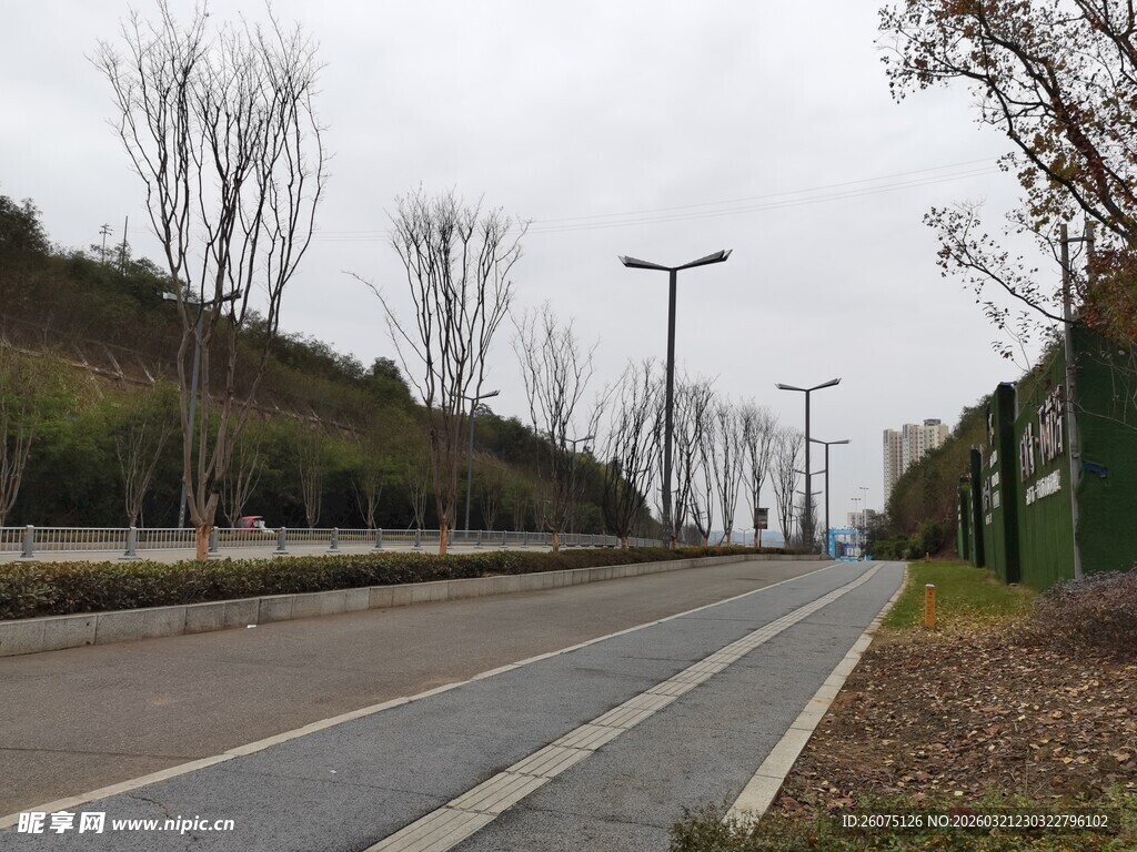 空旷道路旁的绿植与路灯