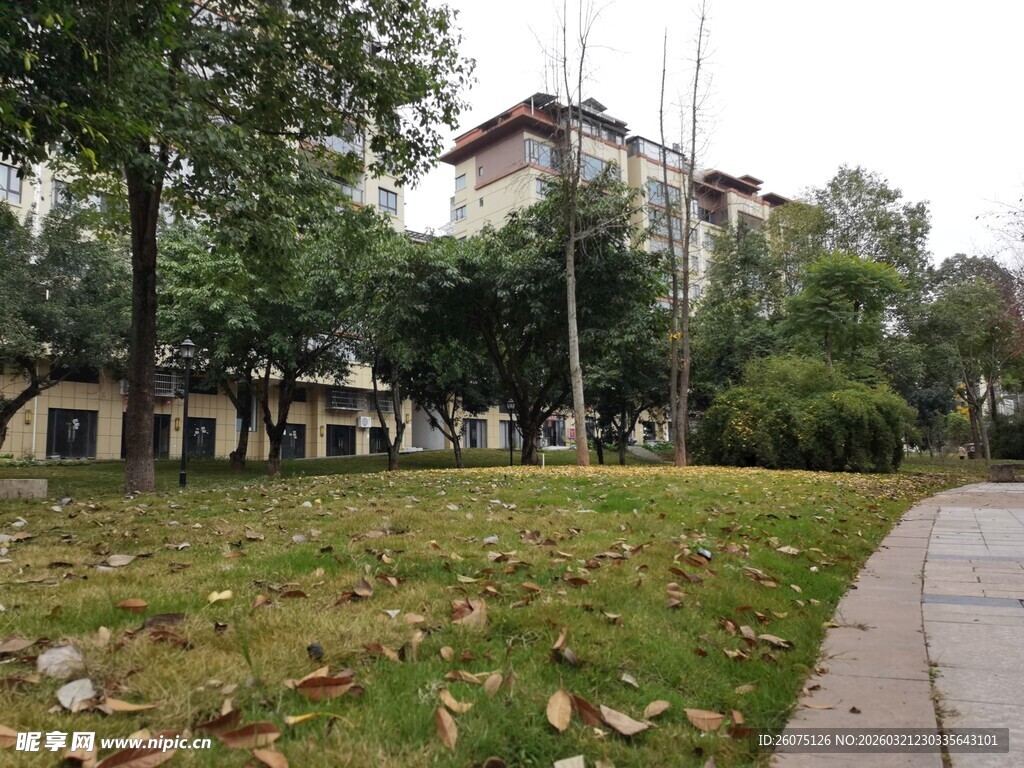 秋日公园旁的静谧小道