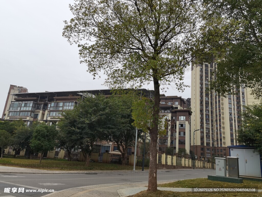 城市街道旁的建筑与树木