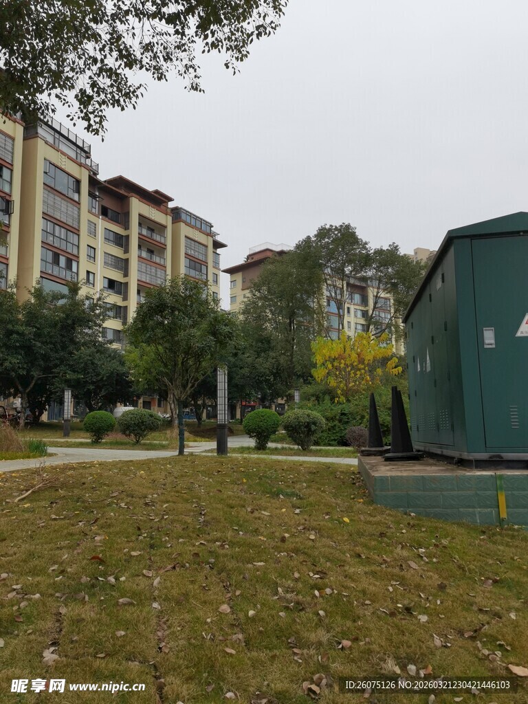 小区户外绿化景观一角