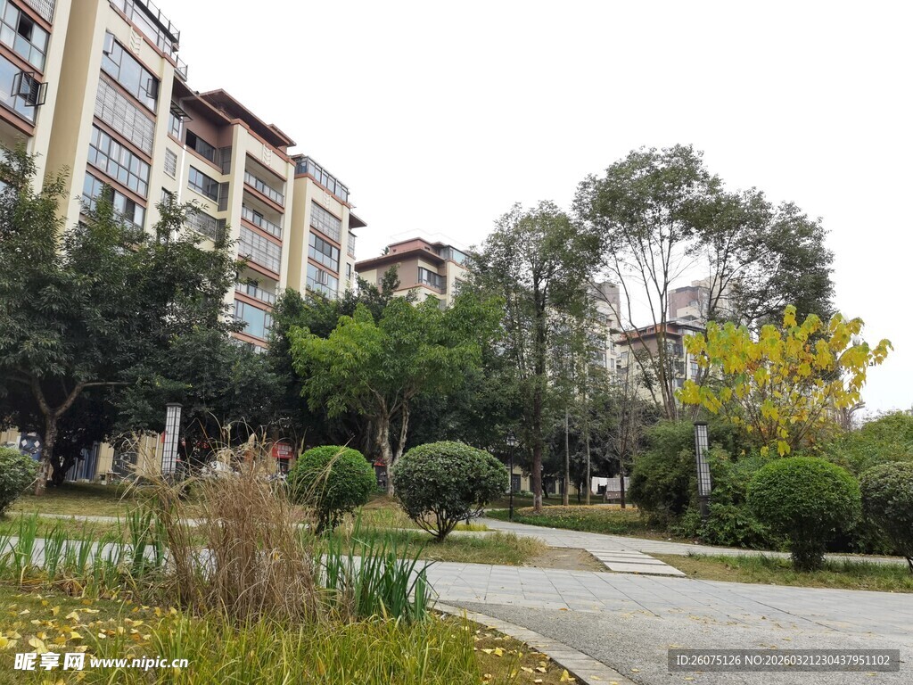 小区优美绿化景观