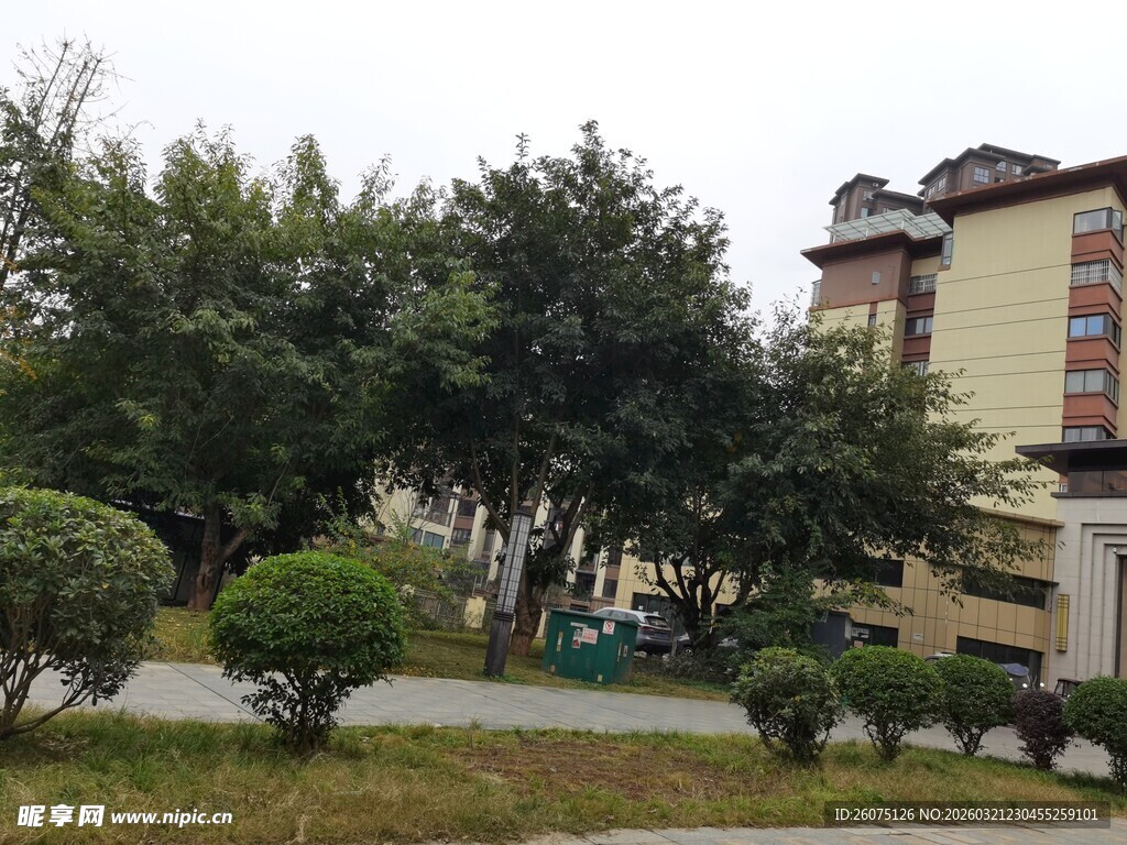 小区绿化景观一角