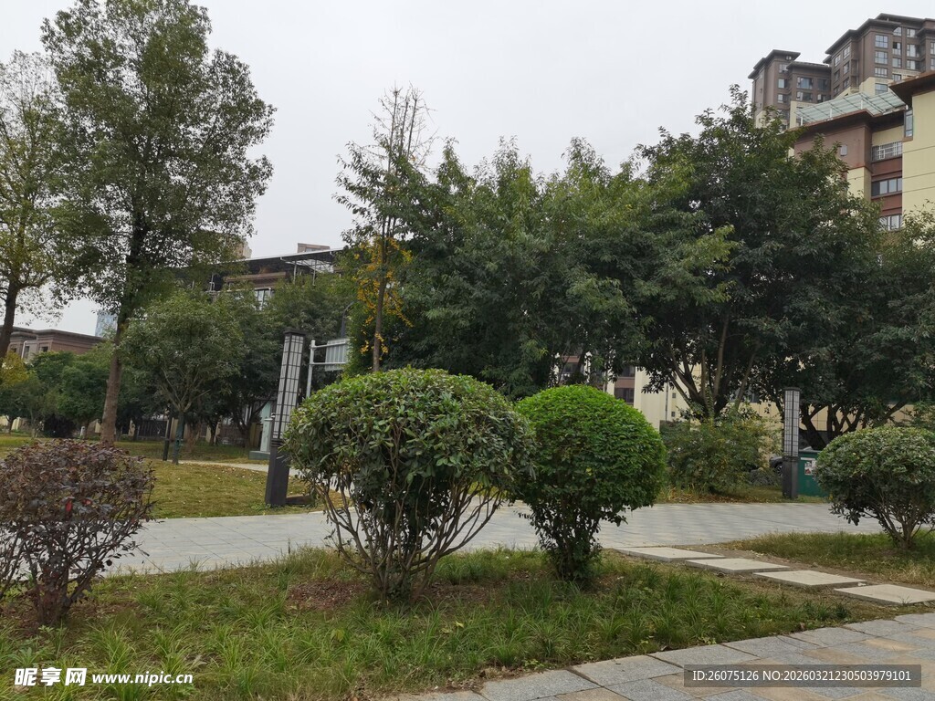 小区绿化景观一角