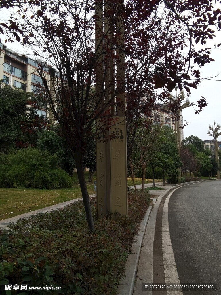 路边树木与蜿蜒道路景观