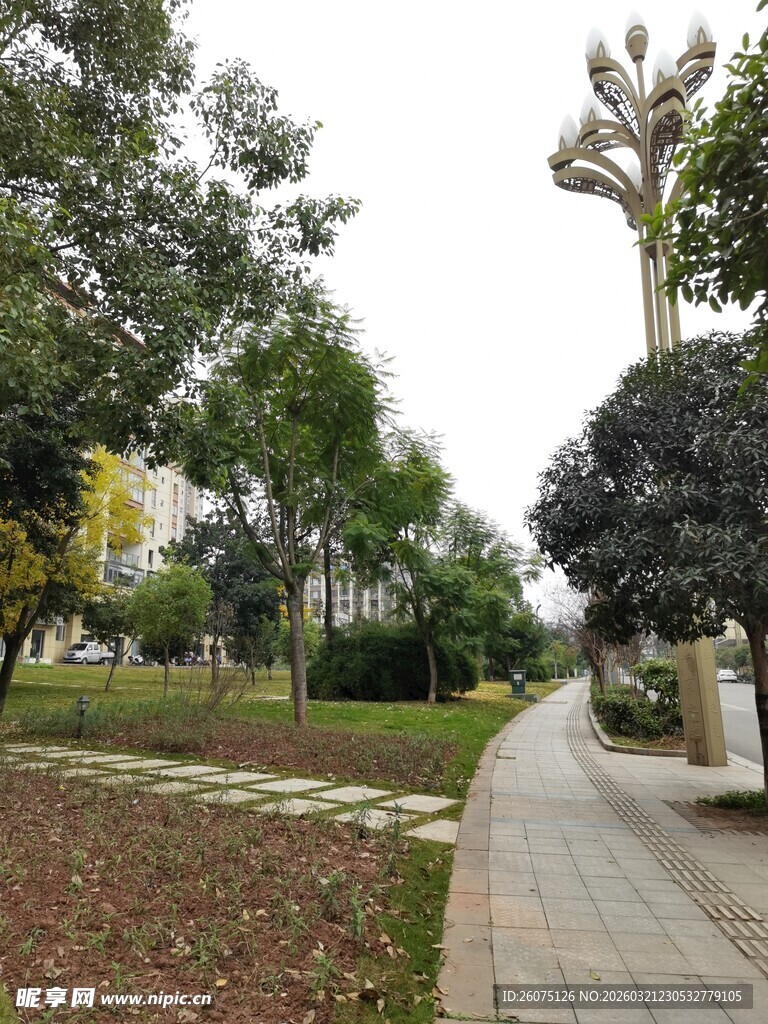 宁静公园小路景观