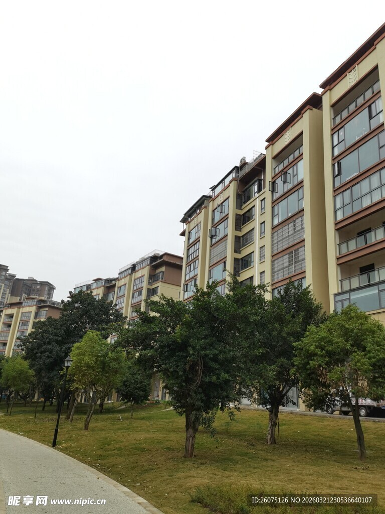 小区住宅楼周边绿化景观