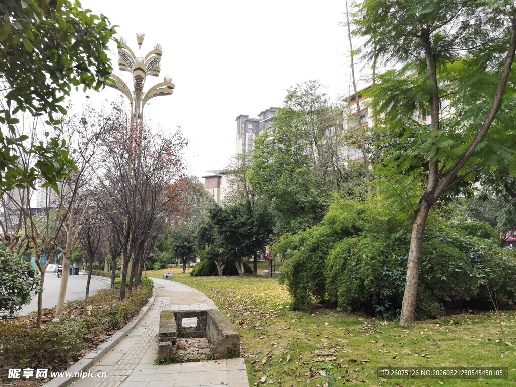 宁静公园小径绿植景观