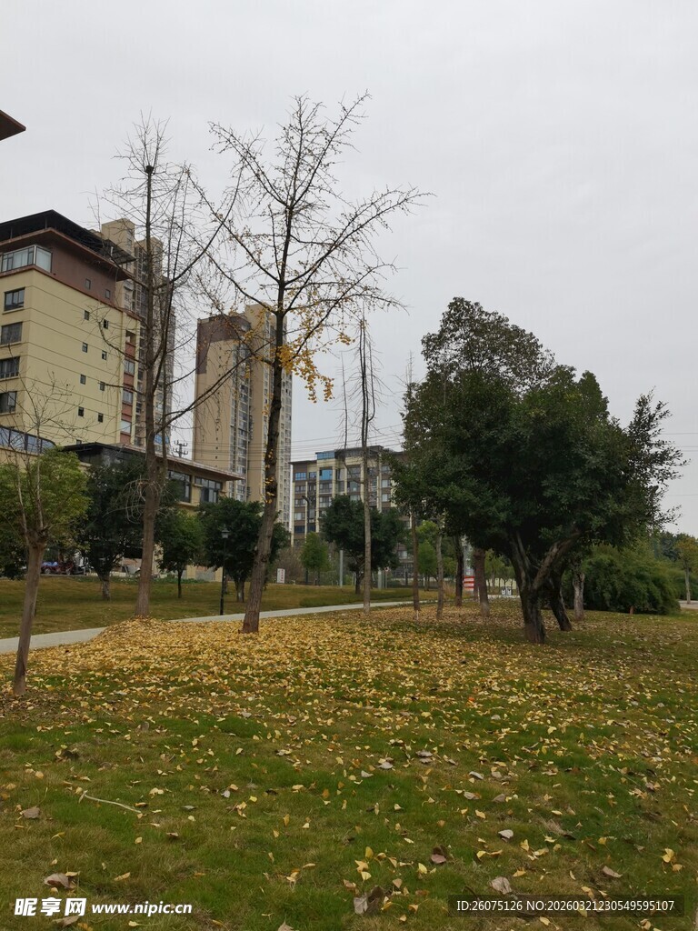 秋日校园草地与建筑景观